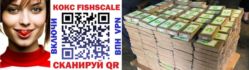 Купить закладки  Красногорск  Cocaine FishScale 