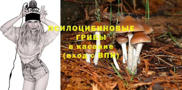 круглые Магас