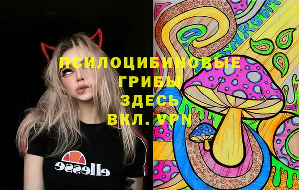 круглые Магас