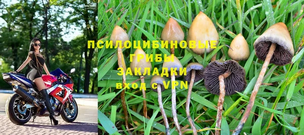 круглые Магас